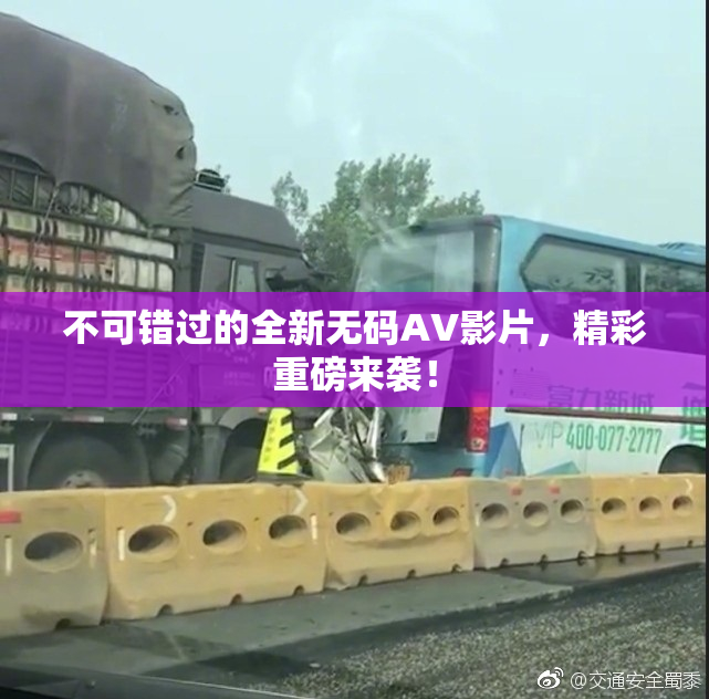 不可错过的全新无码AV影片，精彩重磅来袭！