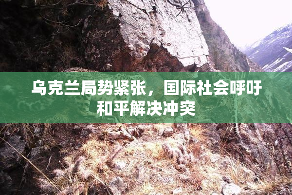 乌克兰局势紧张，国际社会呼吁和平解决冲突