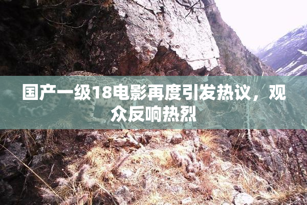 国产一级18电影再度引发热议，观众反响热烈