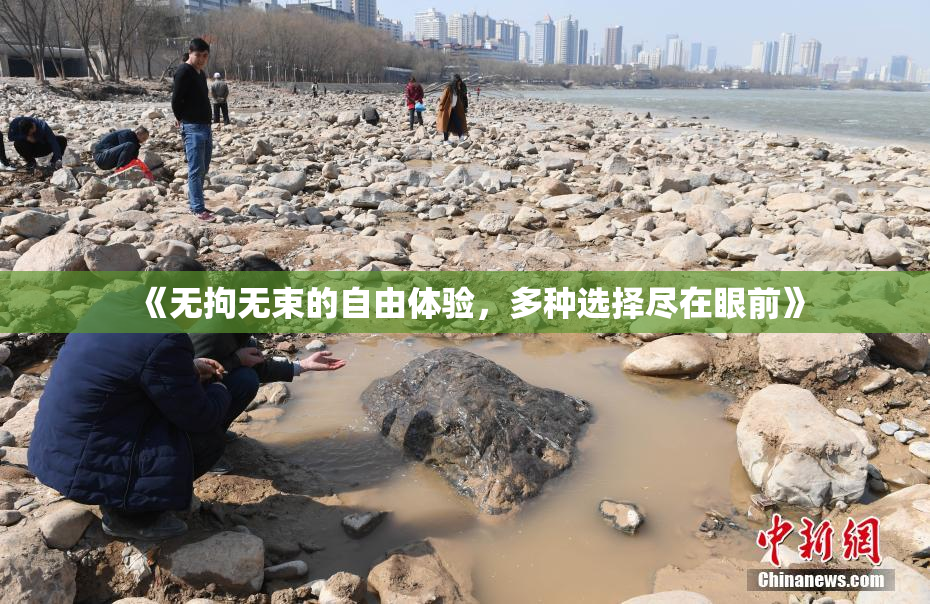 《无拘无束的自由体验，多种选择尽在眼前》