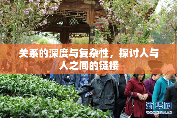 关系的深度与复杂性，探讨人与人之间的链接