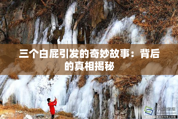 三个白屁引发的奇妙故事：背后的真相揭秘