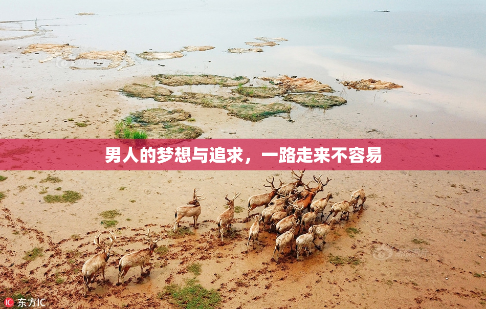 男人的梦想与追求，一路走来不容易
