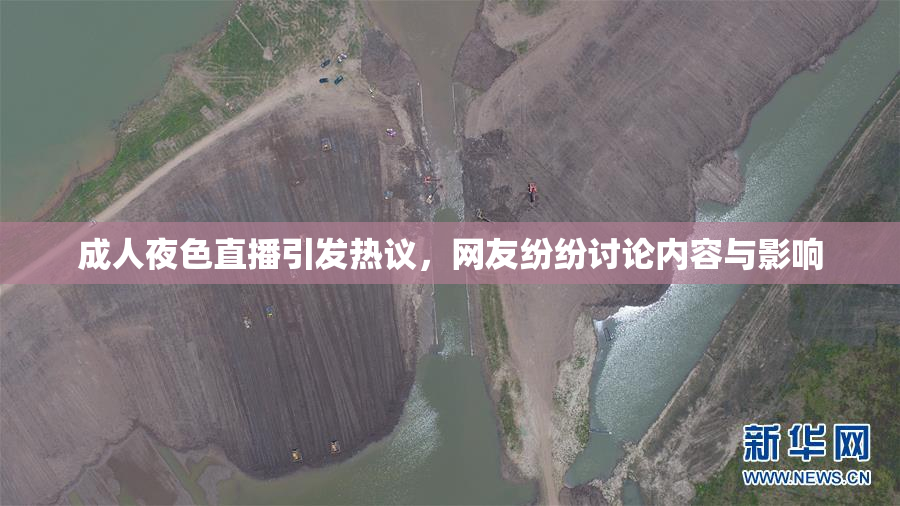 成人夜色直播引发热议，网友纷纷讨论内容与影响