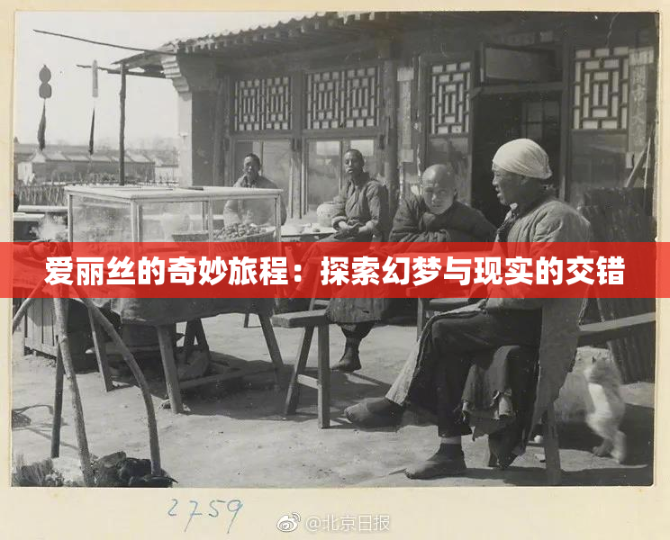 爱丽丝的奇妙旅程：探索幻梦与现实的交错