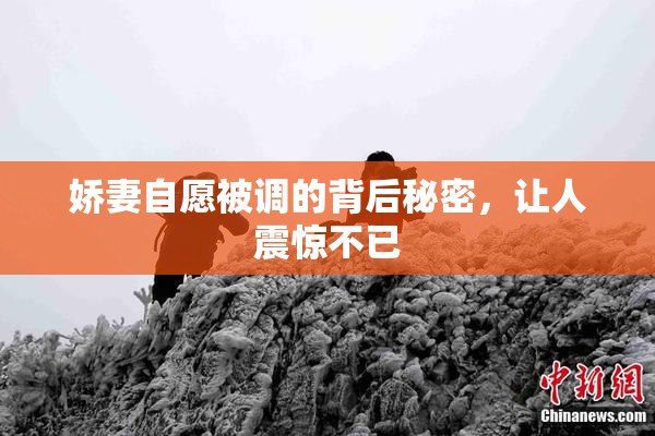 娇妻自愿被调的背后秘密，让人震惊不已