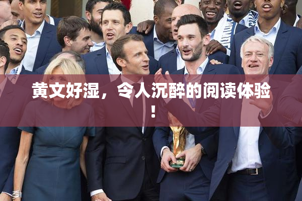 黄文好湿，令人沉醉的阅读体验！