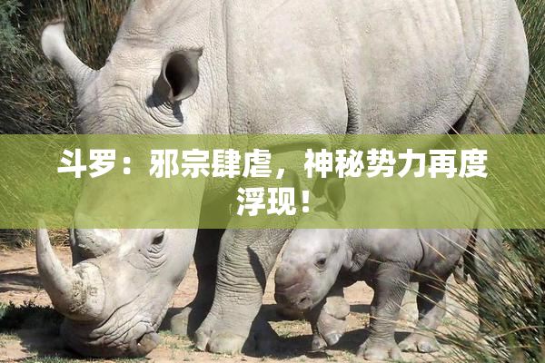 斗罗：邪宗肆虐，神秘势力再度浮现！