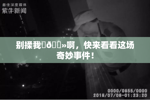 别揉我‌🐻啊，快来看看这场奇妙事件！