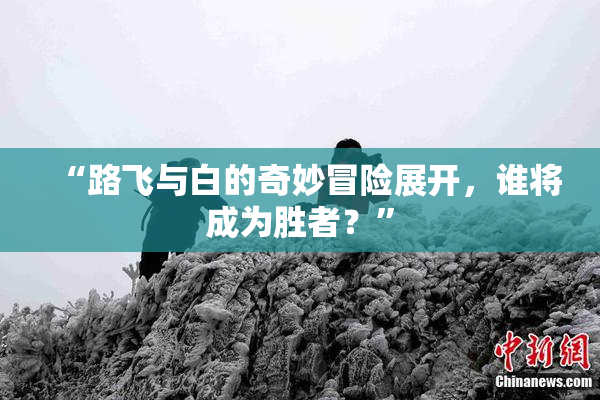 “路飞与白的奇妙冒险展开，谁将成为胜者？”