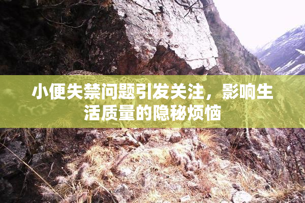 小便失禁问题引发关注，影响生活质量的隐秘烦恼