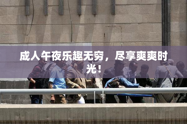 成人午夜乐趣无穷，尽享爽爽时光！