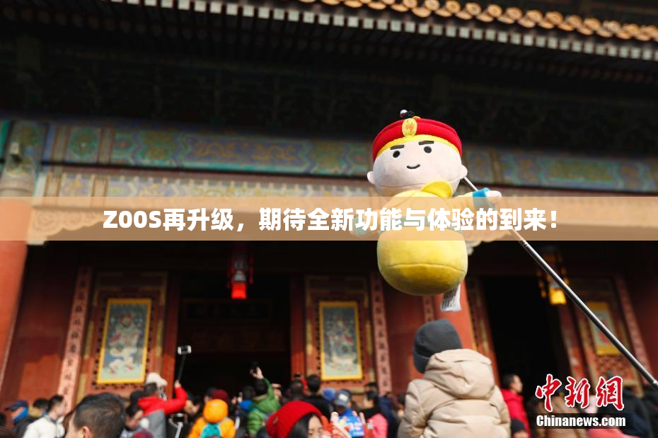 Z00S再升级，期待全新功能与体验的到来！