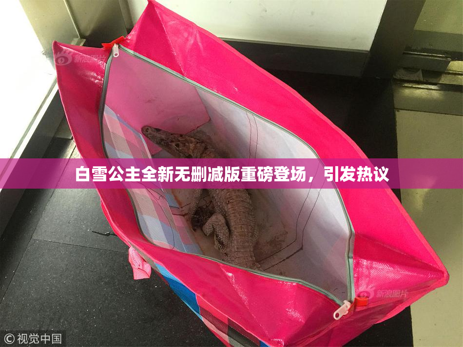 白雪公主全新无删减版重磅登场，引发热议