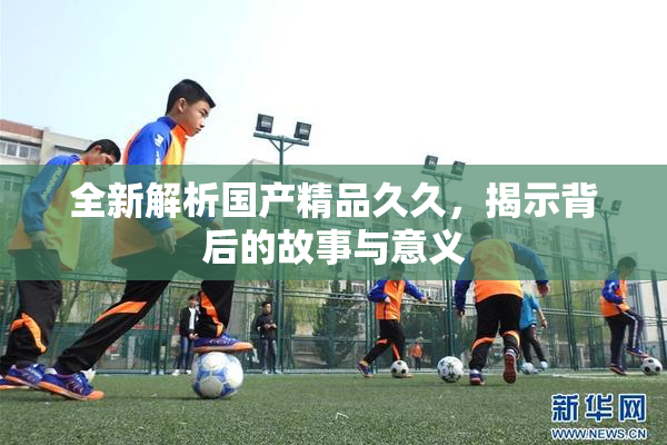 全新解析国产精品久久，揭示背后的故事与意义