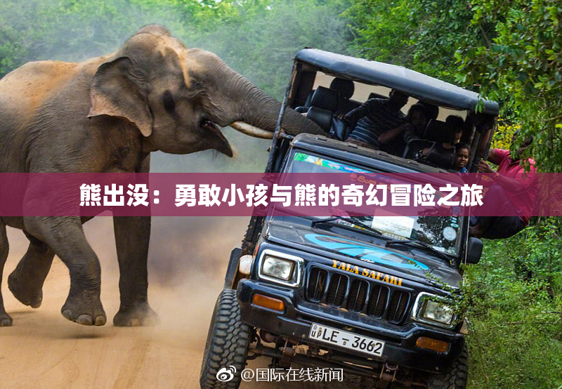 熊出没：勇敢小孩与熊的奇幻冒险之旅