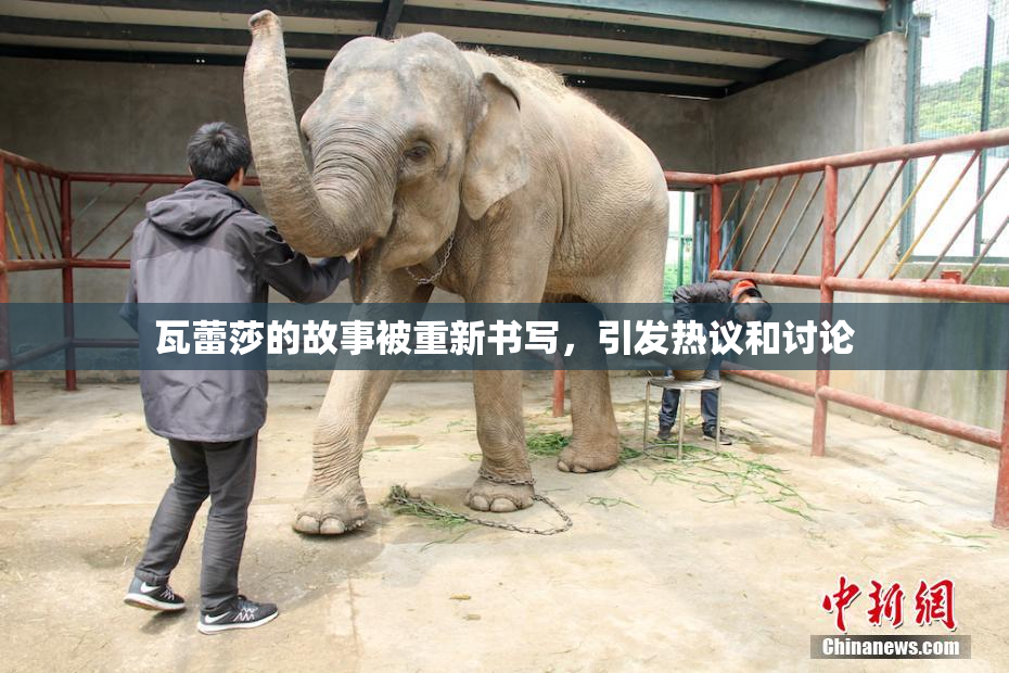 瓦蕾莎的故事被重新书写，引发热议和讨论
