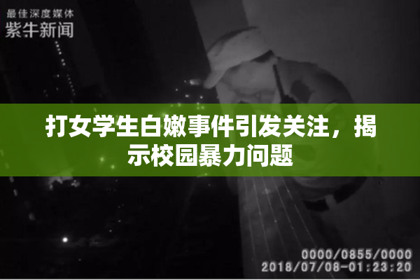 打女学生白嫩事件引发关注，揭示校园暴力问题