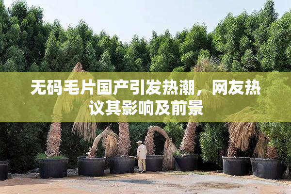 无码毛片国产引发热潮，网友热议其影响及前景