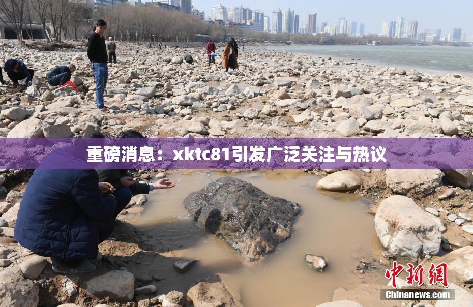 重磅消息：xktc81引发广泛关注与热议