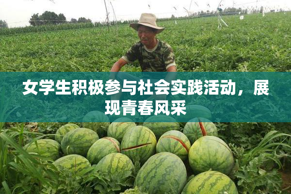 女学生积极参与社会实践活动，展现青春风采