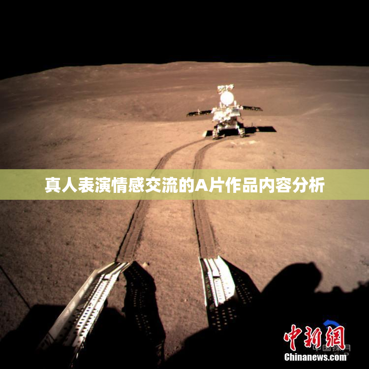 真人表演情感交流的A片作品内容分析