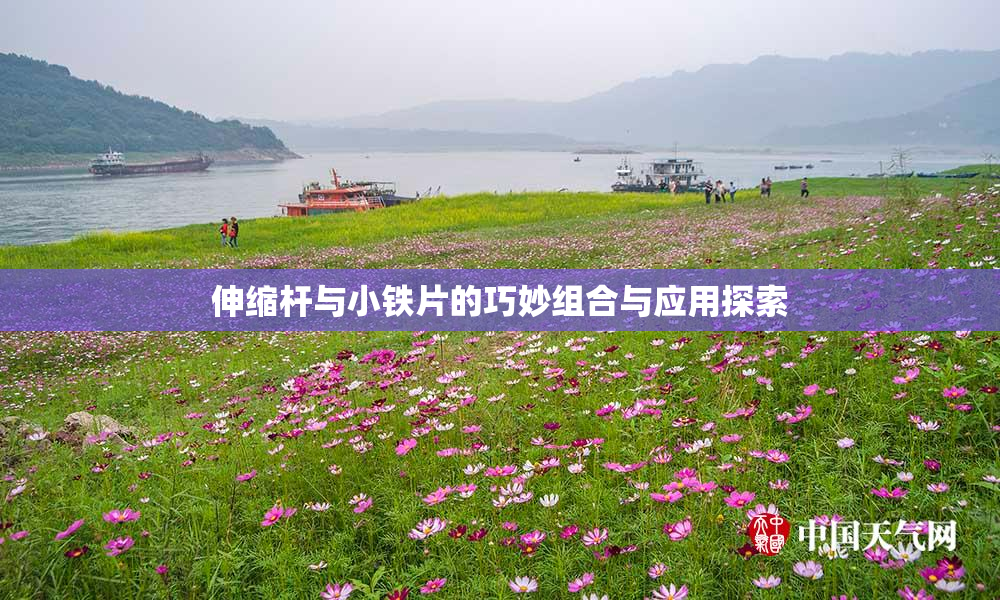 伸缩杆与小铁片的巧妙组合与应用探索