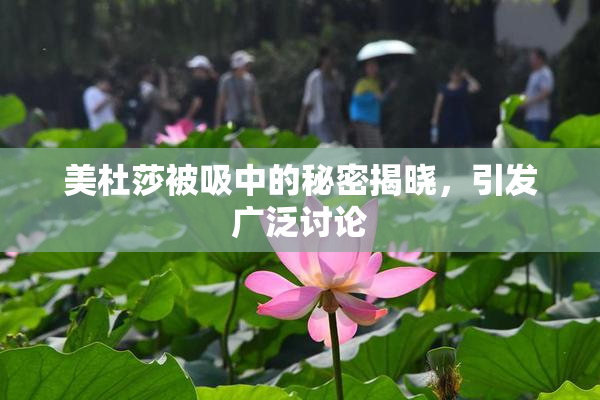 美杜莎被吸中的秘密揭晓，引发广泛讨论