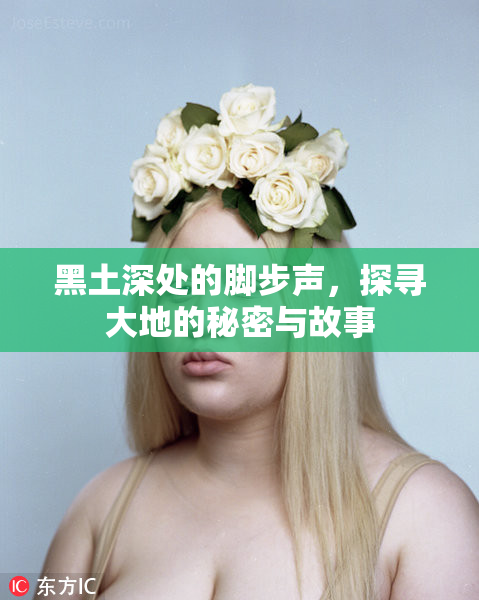 黑土深处的脚步声，探寻大地的秘密与故事