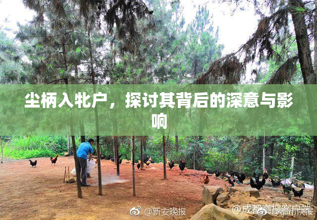 尘柄入牝户，探讨其背后的深意与影响