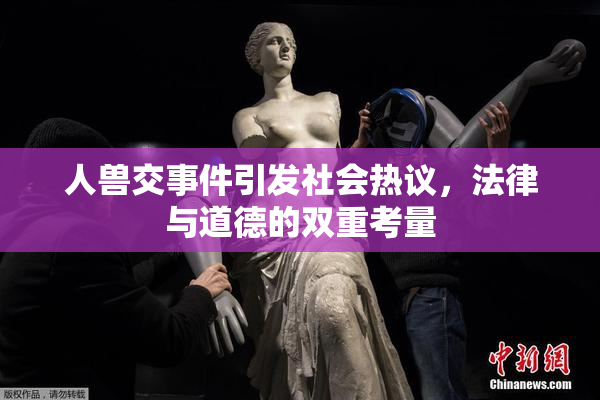 人兽交事件引发社会热议，法律与道德的双重考量