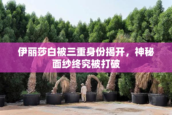 伊丽莎白被三重身份揭开，神秘面纱终究被打破