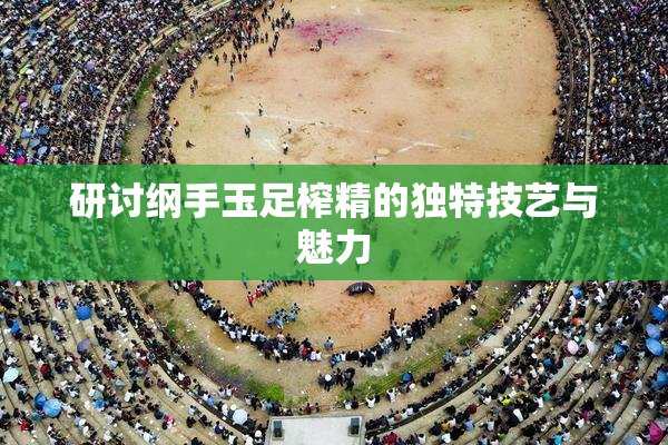 研讨纲手玉足榨精的独特技艺与魅力