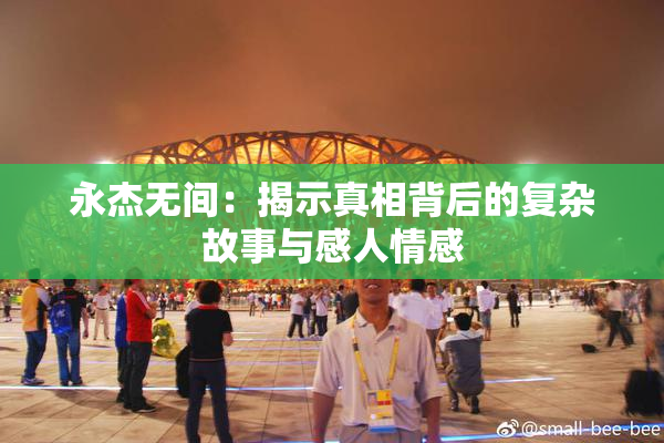 永杰无间：揭示真相背后的复杂故事与感人情感