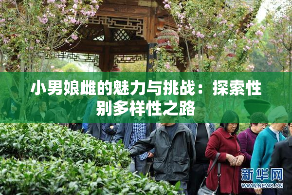 小男娘雌的魅力与挑战：探索性别多样性之路