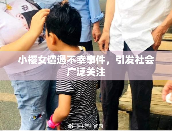 小樱女遭遇不幸事件，引发社会广泛关注
