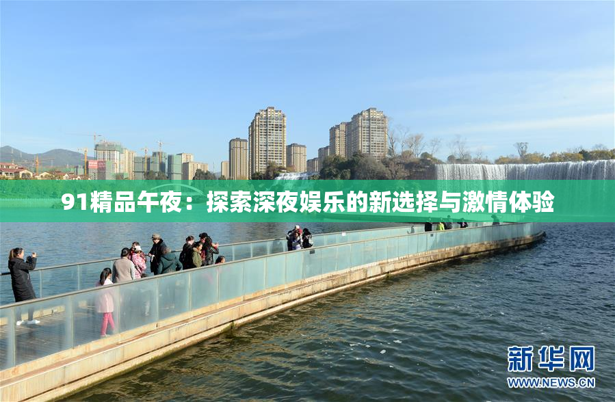 91精品午夜：探索深夜娱乐的新选择与激情体验