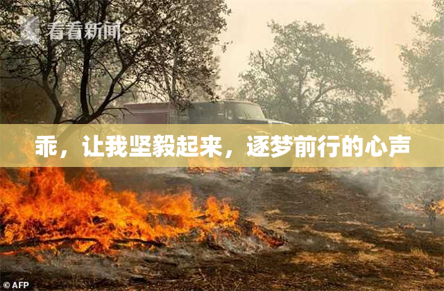 乖，让我坚毅起来，逐梦前行的心声