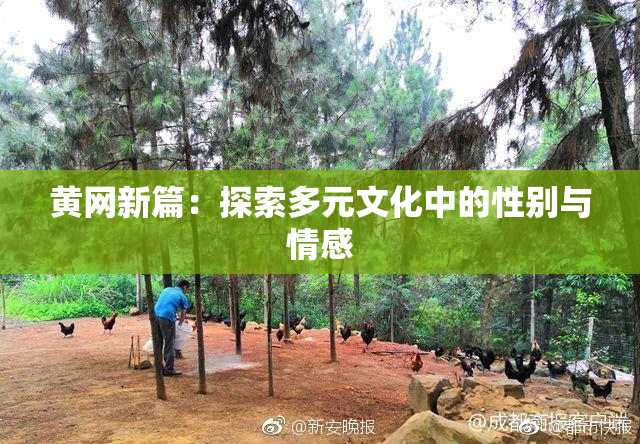 黄网新篇：探索多元文化中的性别与情感