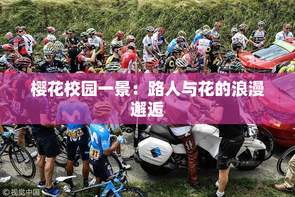 樱花校园一景：路人与花的浪漫邂逅