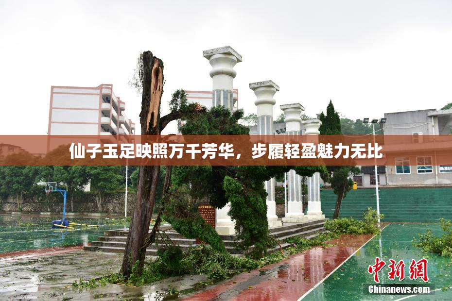 仙子玉足映照万千芳华，步履轻盈魅力无比