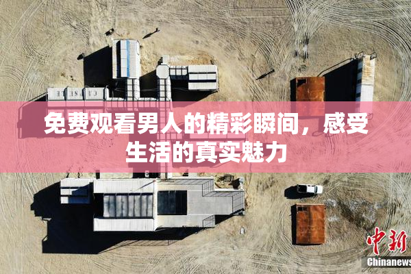 免费观看男人的精彩瞬间，感受生活的真实魅力