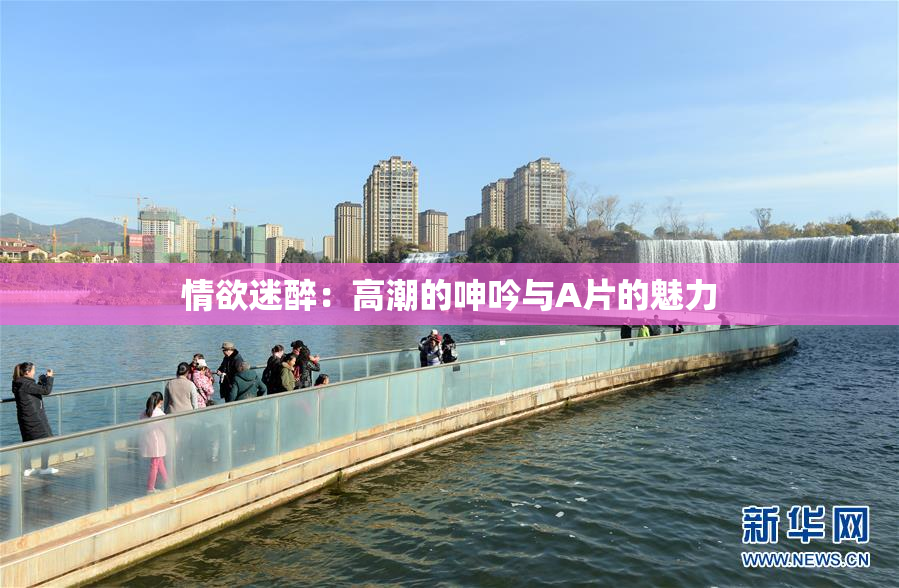情欲迷醉：高潮的呻吟与A片的魅力