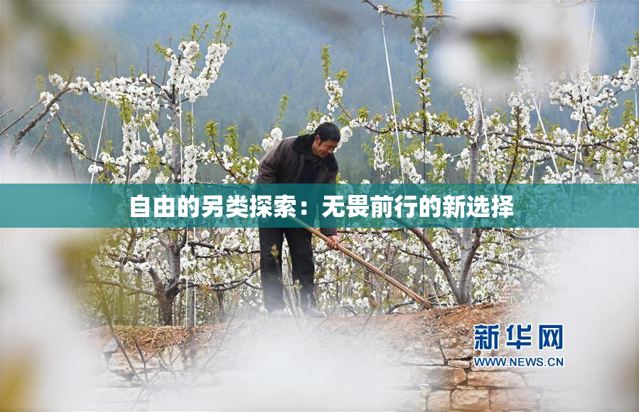 自由的另类探索：无畏前行的新选择