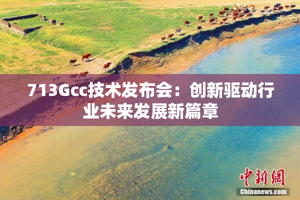713Gcc技术发布会：创新驱动行业未来发展新篇章