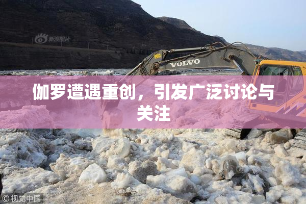 伽罗遭遇重创，引发广泛讨论与关注