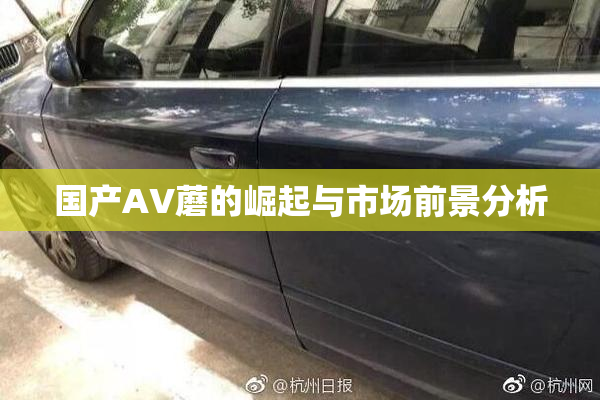 国产AV蘑的崛起与市场前景分析
