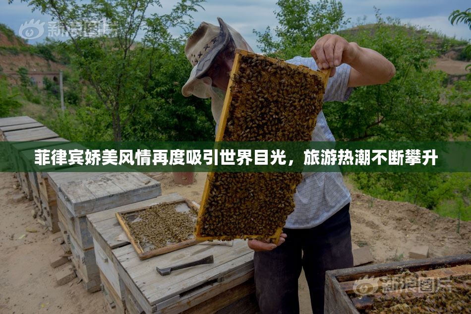菲律宾娇美风情再度吸引世界目光，旅游热潮不断攀升