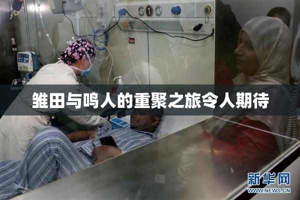 雏田与鸣人的重聚之旅令人期待