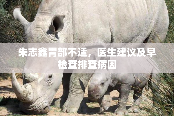 朱志鑫胃部不适，医生建议及早检查排查病因